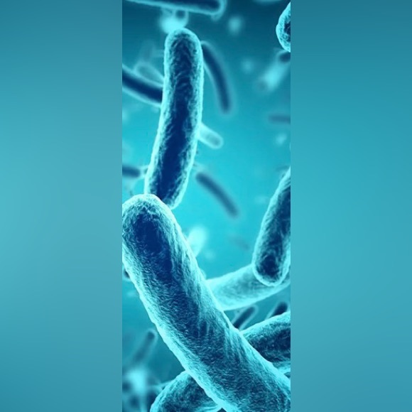 🦠 Cover Germs While You Shop. - Picture 7 of 8